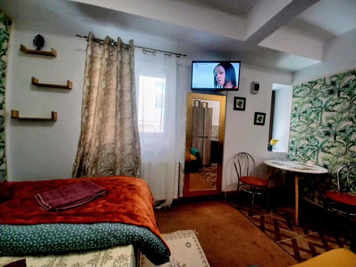 Studio Republicii Apartment Брашов Екстериор снимка
