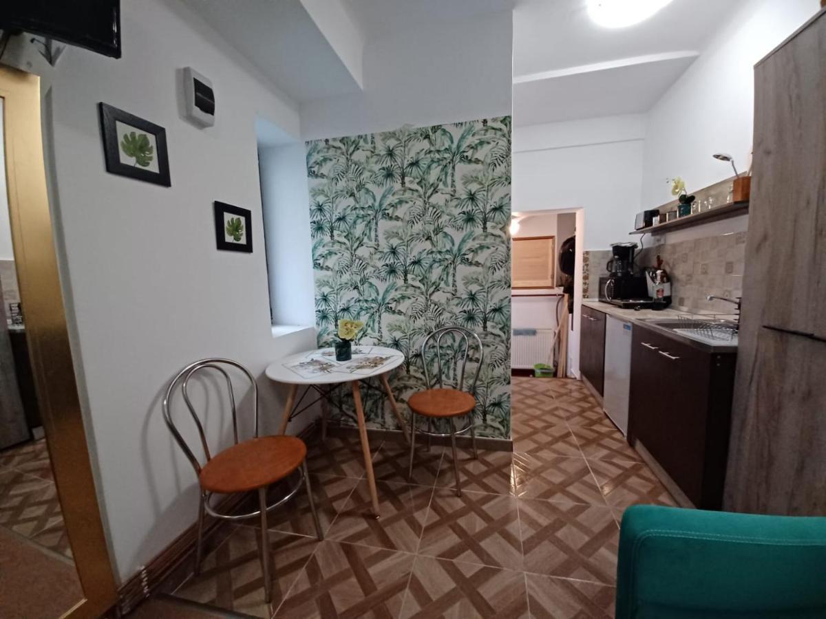 Studio Republicii Apartment Брашов Екстериор снимка